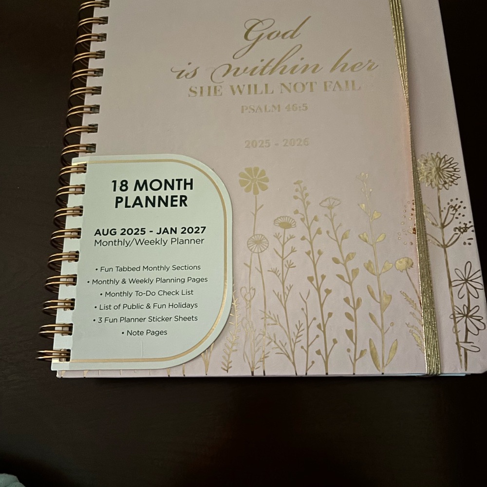 Pink and Gold 18-Month Planner